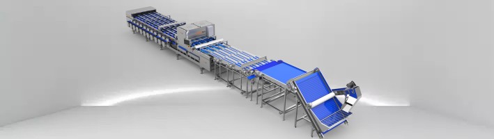 TRIEUR DE COULEURS DE DATE