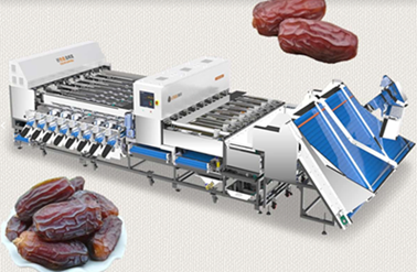 AI Color Sorting Machines: Redefining Quality in Food Processing