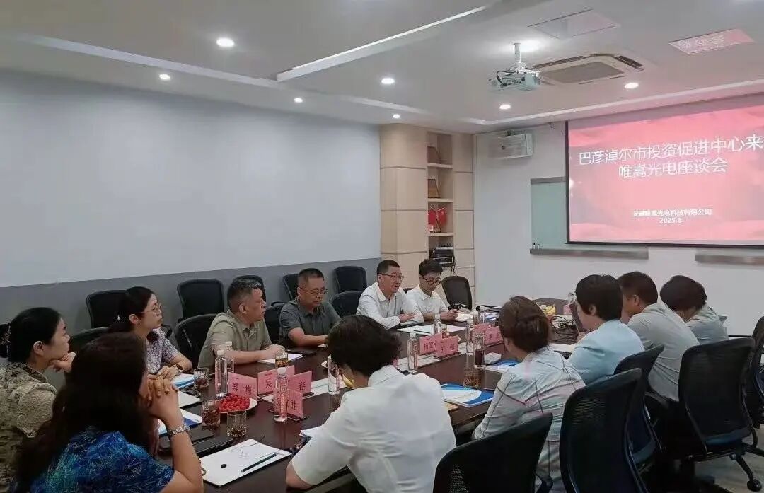Anhui & Inner Mongolia Join Hands for a New Chapter! Director Li Lei of Bayannur Investment Promotion Bureau Visits Anhui WeiSong Optoelectronics to Explore Cross‑Regional Cooperation Pathways
