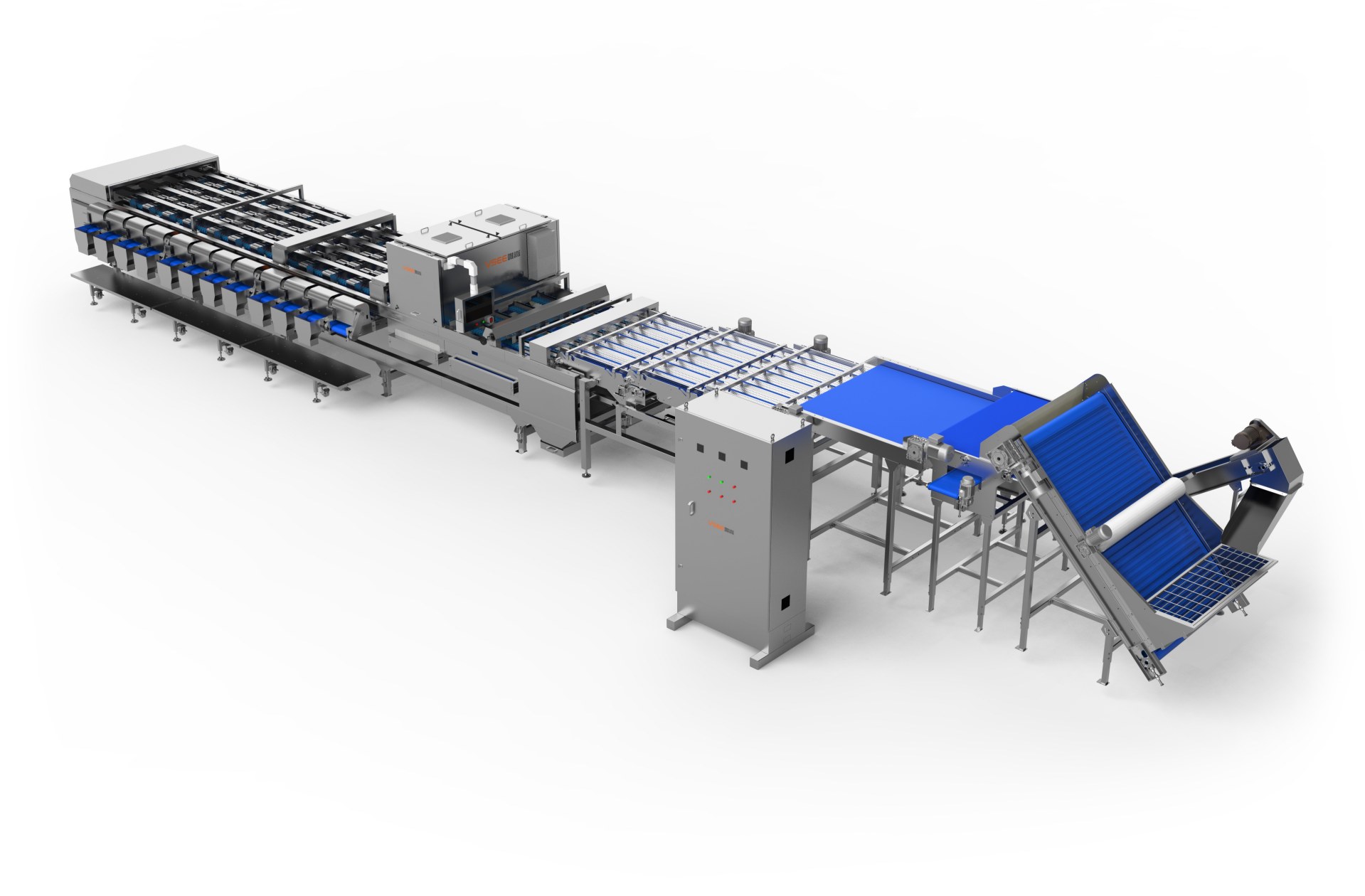 Egypt Date Sorting Machine: Complete Guide for Egyptian Date Processors
